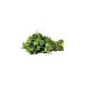 Menta Fresca